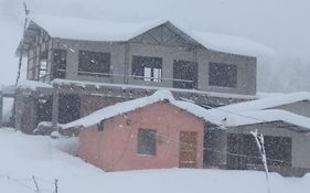 The Snow City